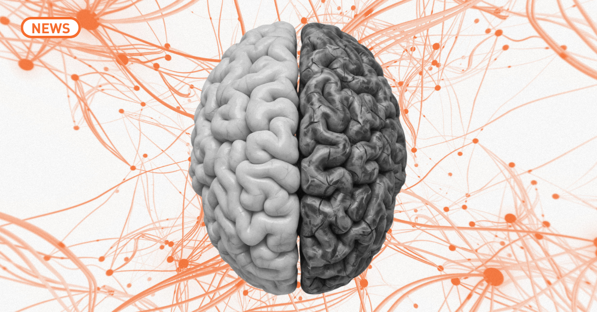 5 порад від нейробіолога, які допоможуть мислити стратегічно