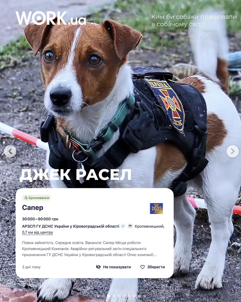 Бренд-невидимка: чому ваш SMM не проходить «фільтр мозку» і здорожує вартість клієнта
