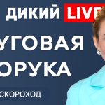Анна Скороход Муж: подробный взгляд на личную жизнь и карьеру