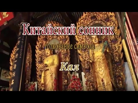 К Чему Снится Кал Женщине: значение и толкование сна