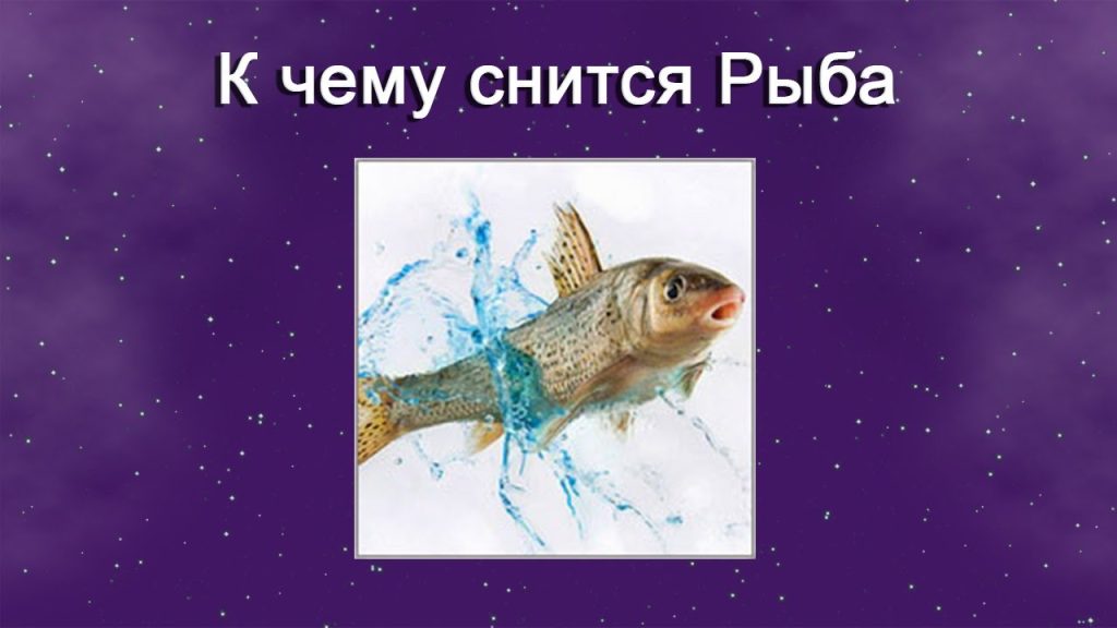 К Чему Снится Рыба: значение сна и толкование символа