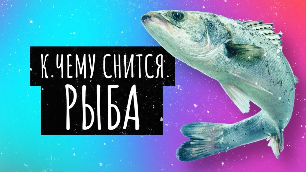 К Чему Снится Рыба: значение сна и толкование символа