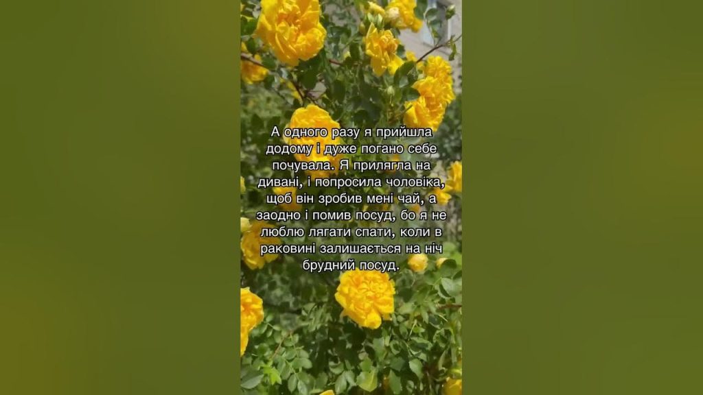 Колишній Чоловік Квіткової: біографія, особисте життя та кар'єра