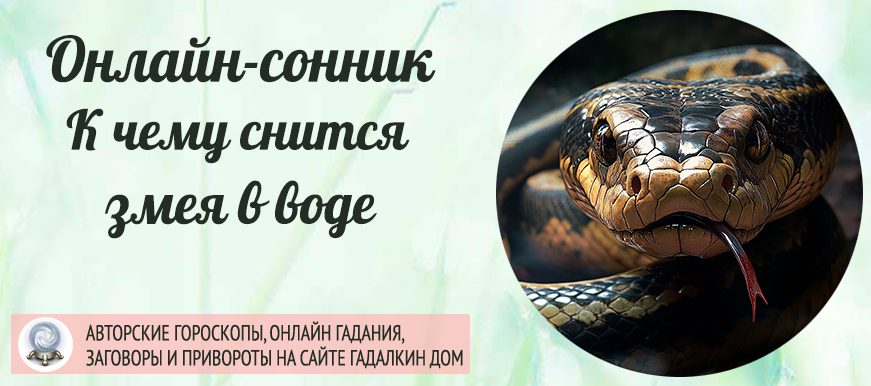 К Чему Снится Змея: значение, символика и толкование сновидения