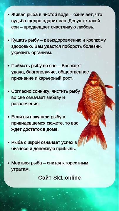 К Чему Снится Рыба: значение сна и толкование символа