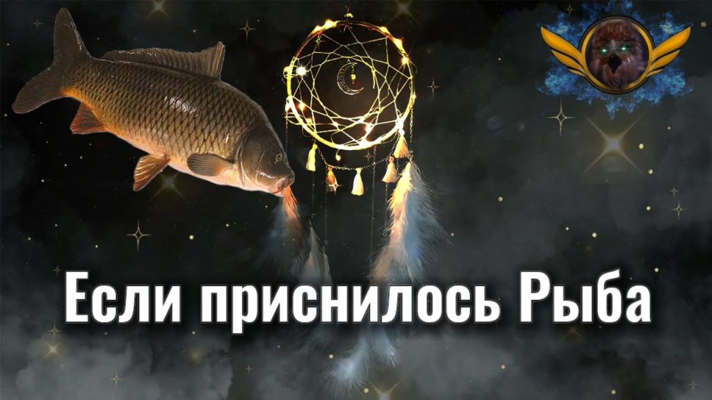 К Чему Снится Рыба: значение сна и толкование символа