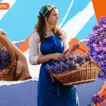 Від $10 000 за гектар: як працює бізнес на лаванді в Україні
