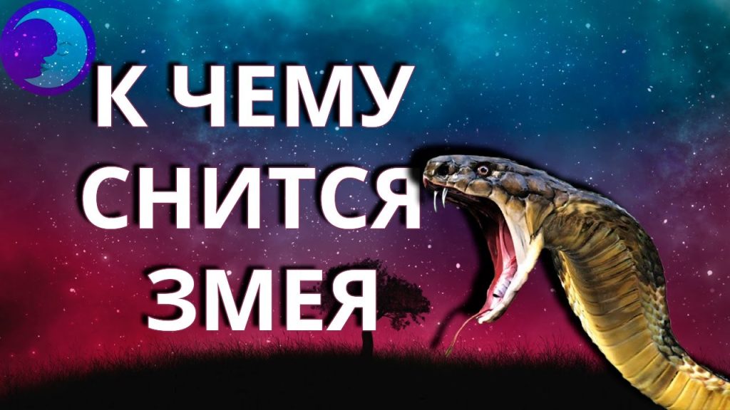 К Чему Снится Змея: значение, символика и толкование сновидения