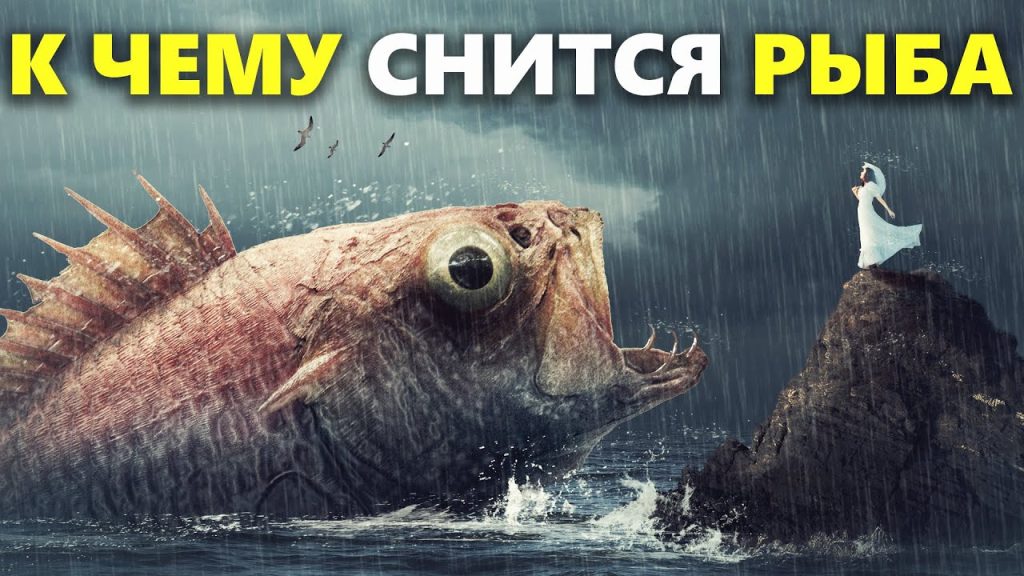 К Чему Снится Рыба: значение сна и толкование символа